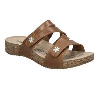 Tonga 82, camel camel 42