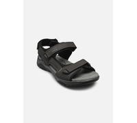 Josef Seibel - Sandalen Arlo 02 - grau - Größe 41