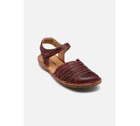 Seibel Damenschuhe Klassisch ORCHIDEE ORCHIDEE - Gr. - 41