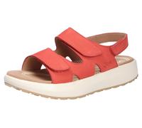 JOYA Panama red 39