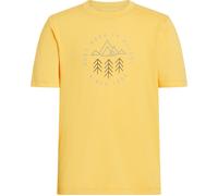 Ju.-T-Shirt Ellis II B GELB/GELB 176