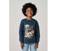 Jungen Sweatshirt mit Print vorn nachtblau Gr. 158/164 von Vertbaudet