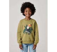 Jungen Sweatshirt mit Print vorn olivgrün Gr. 158/164 von vertbaudet