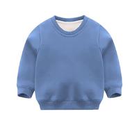 Jungen und Mädchen Winter Sherpa Gefütterte Hoodies Sweatshirt ohne Kapuze Warmes Fleece Langarm Crewneck Pullover Tops Für Innen- und Außenbereich geeignet (Blue, 12-18 Months)