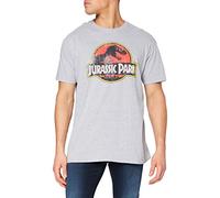 Jurassic Park Herren Logo im Used-Look T-Shirt, Grau (Grey Marl SPO), S