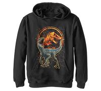 Jurassic Park Jurassic World Fallen Kingdom Forged in Fire Jugend Pullover Hoodie für Kinder, Schwarz, Small