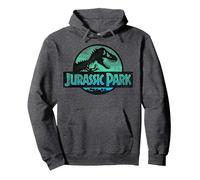 Jurassic Park Turquoise Safari Circle Logo Pullover Hoodie, Unisex für Erwachsene, Anthrazit Meliert, L