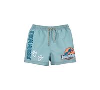 Jurassic World Badehose Jungen | kleine Geschenke für Kinder | Shorts | Bademode | Outdoor Spielzeug | Dinosaurier | Dino | Badeshorts | Urlaub Must-Haves (DE/NL/SE/PL, Numerisch, 104, Regular, Grün)