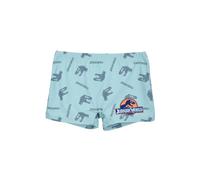 Jurassic World Badehose Jungen | kleine Geschenke für Kinder | Shorts | Bademode | Outdoor Spielzeug | Dinosaurier | Dino | Badeshorts | Urlaub Must-Haves (DE/NL/SE/PL, Numerisch, 128, Regular, Grün)