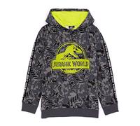 Jurassic World Hoodie Kinder Jungen Camp Cretaceous T Rex Grey Pullover 5-6 Jahre