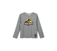Jurassic World Jungen Langarm-Shirt Longsleeve Oberteil, Farbe:Grau, Größe Kids:104