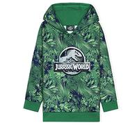 Jurassic World Kapuzenpullover Kinder Jungen und Mädchen Dinosaurier Hoodie Teenager (3-4 Jahre, Grün)
