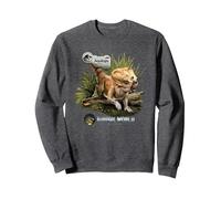 Jurassic World Rebirth Dolores In The Wild Sweatshirt, Unisex für Erwachsene, Anthrazit Meliert, XXL