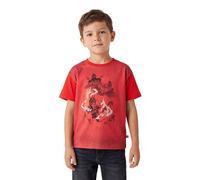 Kabooki LEGO® NINJAGO® Kinder T-Shirt für Jungen und Mädchen | Weicher Single Jersey Stoff | Kurzarm Alltagsshirt mit Frontprint