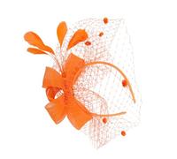 KAILIKETIY Feder Netzstoff Haarclip 1 Stück Kreativer Eleganter Kopfschmuck für Damen Party und Festival Haaraccessoire
