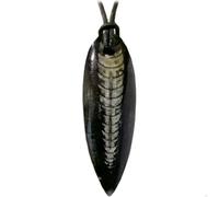 Kaltner Präsente Orthoceras Fossil Anhänger mit Lederkette - Echter Orthoceratit aus Marokko (ca. 320 Mio. Jahre) - Edelstein Halskette Unikat - Versteinerung ca. 50 mm - Geschenk Damen & Herren