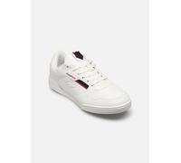 Kangaroos - K-AC Rocky