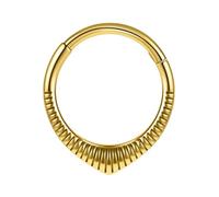 Kangnice Modischer Septum Schmuck, kleine Nasenringe mit und Tragus Nasensteckern aus Chirurgenstahl für Frauen Segmentringe mit Scharnier