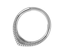 Kangnice Modischer Septum Schmuck, kleine Nasenringe mit und Tragus Nasensteckern aus Chirurgenstahl für Frauen Segmentringe mit Scharnier
