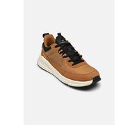 Kaporal - Dolpi - Braun - Sneaker - Größe 41