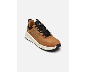 Kaporal - Dolpi - Braun - Sneaker - Größe 41