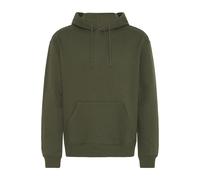 BLEND Hoodie Herren grün, L