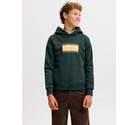 JACK & JONES Junge Buster Hoodie Scarab Grün 176
