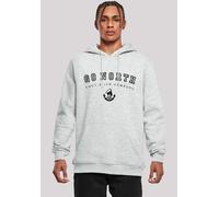 Kapuzenpullover F4NT4STIC "Go North", Herren, Gr. S, grau (erdgrau), Obermaterial: 65% Baumwolle, 35% Polyester, slim fit, Pullover Kapuzenpullover, Print (47342548-S) erdgrau