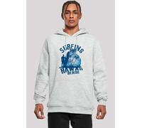 Kapuzenpullover F4NT4STIC "Hawaii Surf Beach Summer", Herren, Gr. XL, grau (erdgrau), Obermaterial: 65% Baumwolle, 35% Polyester, slim fit, Pullover Kapuzenpullover, Premium Qualität (79270944-XL) erd