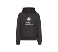 Kapuzenpullover F4NT4STIC "World Of Warcraft Alliance Glory Back", Herren, Gr. L, schwarz, Obermaterial: 65% Baumwolle, 35% Polyester, slim fit, Pullover Kapuzenpullover, Official Merch (52369408-L) s