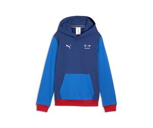 Kapuzenpullover PUMA "BMW M MOTORSPORT Essentials Hoodie Jugendliche", Kinder, Gr. 176, blau (pro blau m color), Obermaterial: 32% Polyester, 68% Baumwolle. Kapuzenfutter: 100% Baumwolle. Rippe: 3% El