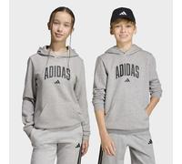 Kapuzensweatshirt ADIDAS SPORTSWEAR "CODES COLLEGIATE GRAFIK HOODIE", Jungen, Gr. 164, grau (medium grau heather), Obermaterial: 70% Baumwolle, 30% Polyester, angesetztes Bündchen, Sweatshirts (409874