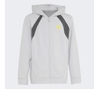Kapuzensweatshirt ADIDAS SPORTSWEAR "COLOR BLOCK FULL ZIP HOODIE", Jungen, Gr. 164, grau (lgh solid grau, grau five, pure lemon), Obermaterial: 70% Baumwolle, 30% Polyester, normal, Rundhals, angesetz