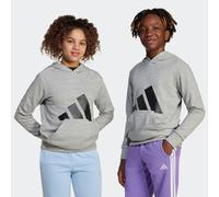 Kapuzensweatshirt ADIDAS SPORTSWEAR "J BL FT HD 280", Mädchen, Gr. 152, grau (medium grau heather, schwarz), Obermaterial: 55% Baumwolle, 36% Polyester, 9% Viskose, normal, Rundhals, Sweatshirts (5609