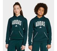 adidas Seasonals Essentials Collegiate Typography Hoodie Kinder - grün/weiß - 140
