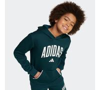 adidas Seasonals Essentials Collegiate Typography Hoodie Kinder - grün/weiß - 152