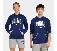 Kapuzensweatshirt ADIDAS SPORTSWEAR "SEASONALS ESSENTIALS COLLEGIATE TYPOGRAPHY KIDS HOODIE", Mädchen, Gr. 164, blau (dunkelblau, weiß), Obermaterial: 55% Baumwolle, 36% Polyester, 9% Viskose, normal,