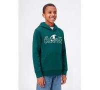 Kapuzensweatshirt CHAMPION "Graphic Terry Hoodie", Jungen, Gr. S (128/134), stor, Obermaterial: 54% Baumwolle, 46% Polyester, Sweatshirts, für Kinder, sportlicher Stil, mit Kapuze, bequemer Schnitt (5