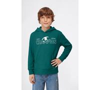 Kapuzensweatshirt CHAMPION "Graphic Terry Hoodie", Jungen, Gr. XL (164/170), grün (stor), Obermaterial: 54% Baumwolle, 46% Polyester, Sweatshirts, mit Kapuze, für Kinder, bequeme Passform (54296002-XL