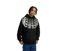 Kapuzensweatshirt DC SHOES "DC Omega 2", Herren, Gr. XXL, schwarz, Obermaterial: 75% Baumwolle, 25% Baumwolle., Sweatshirts (38840156-XXL) schwarz