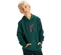 Kapuzensweatshirt DC SHOES "DC Star", Jungen, Gr. 10(140-148cm), rosa (ponderosa pine), 55% Baumwolle, 25% Baumwolle, 20% Polyester, Sweatshirts (93747167-10) ponderosa pine