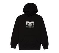 Kapuzensweatshirt DC SHOES "DC Star Reflective", Herren, Gr. L, schwarz, 55% Baumwolle, 25% Baumwolle, 20% Polyester, Sweatshirts (25304013-L) schwarz