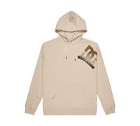 Kapuzensweatshirt DC SHOES "Solid Lefty", Herren, Gr. L, oatmeal, 55% Baumwolle, 25% Baumwolle, 20% Polyester, Sweatshirts (14794454-L) oatmeal