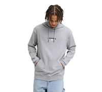 Kapuzensweatshirt DC SHOES "Vantura", Herren, Gr. L, grau (light erdgrau), Obermaterial: 80% Baumwolle, 20% Polyester., Sweatshirts (63372364-L) light erdgrau