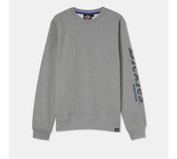 Dickies OKEMO Herren Grafik Sweatshirt Grau Melange XL