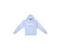 Kapuzensweatshirt DROPSIZE "Dropsize HEAVY OVERSIZE FROTTEE EMBO V2 HOODIE", Herren, Gr. L, baby blau, 70% Baumwolle, 30% Polyester, Rundhals, Sweatshirts (41552339-L) baby blau