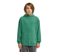 Kapuzensweatshirt ELEMENT "Cornell 3.0", Jungen, Gr. 16(165-172cm), grün (fir), Obermaterial: 50% Baumwolle, 30% Baumwolle, 20% Polyester., Sweatshirts (27460022-16) fir