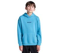 Kapuzensweatshirt ELEMENT "Lowcase Bp", Jungen, Gr. 16(165-172cm), blau (brittany blau), 55% Baumwolle, 25% Baumwolle, 20% Polyester, Sweatshirts (27192523-16) brittany blau