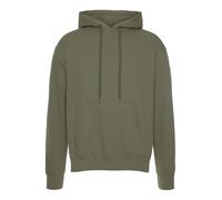 Kapuzensweatshirt FRUIT OF THE LOOM, Herren, Gr. L (48/50), grün (olivgrün), angeraute Sweatware, Obermaterial: 80% Baumwolle, 20% Polyester, unifarben, normal hüftbedeckend, Rundhals, Rippbündchen, S