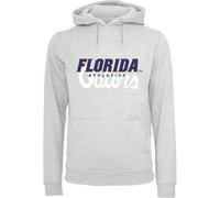 Kapuzensweatshirt MERCHCODE "Merchcode Herren Florida Gators Logo Hoodie", Herren, Gr. M, grau (erdgrau), 65% Baumwolle, 35% Polyester, bedruckt, Rundhals, Sweatshirts (31158625-M) erdgrau